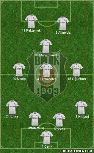 Besiktas JK Formation 2013