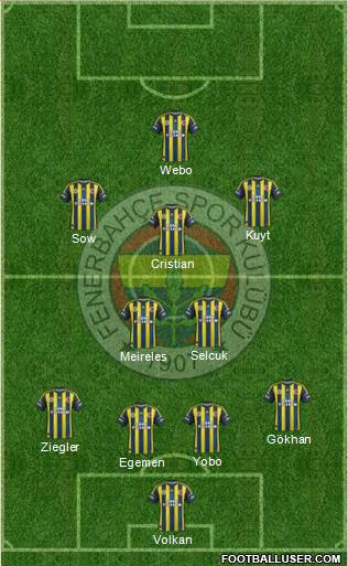 Fenerbahçe SK Formation 2013