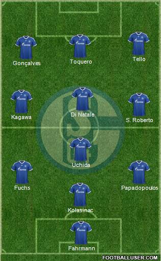 FC Schalke 04 Formation 2013