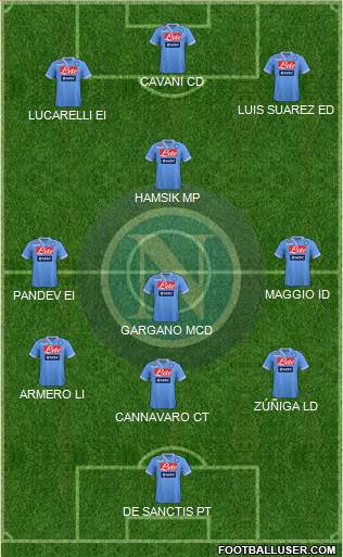 Napoli Formation 2013