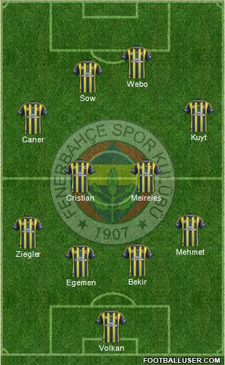Fenerbahçe SK Formation 2013