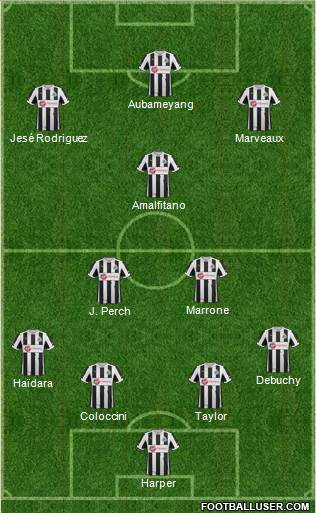 Newcastle United Formation 2013