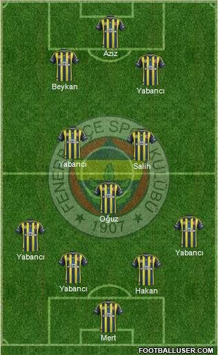 Fenerbahçe SK Formation 2013