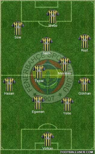 Fenerbahçe SK Formation 2013