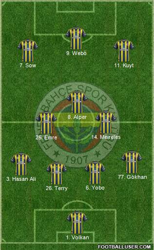 Fenerbahçe SK Formation 2013