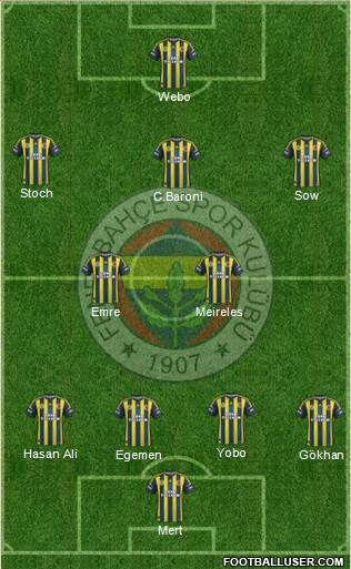 Fenerbahçe SK Formation 2013