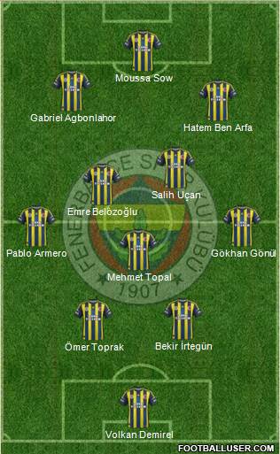 Fenerbahçe SK Formation 2013