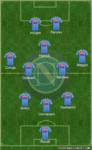 Napoli Formation 2013