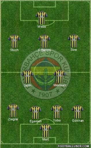Fenerbahçe SK Formation 2013
