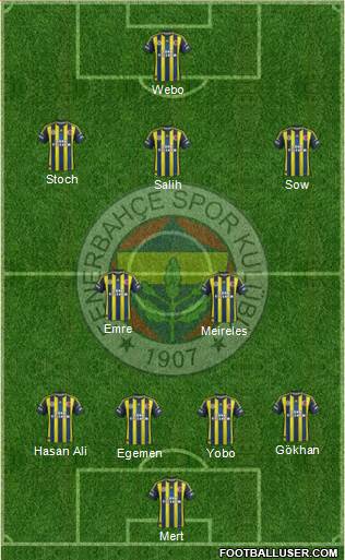 Fenerbahçe SK Formation 2013
