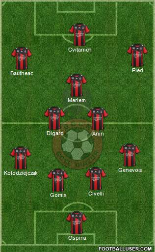 OGC Nice Côte d'Azur Formation 2013
