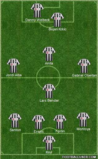 Newcastle United Formation 2013