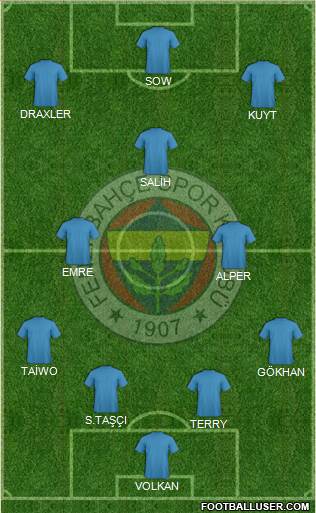 Fenerbahçe SK Formation 2013