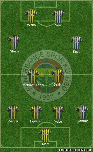 Fenerbahçe SK Formation 2013