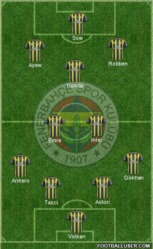 Fenerbahçe SK Formation 2013