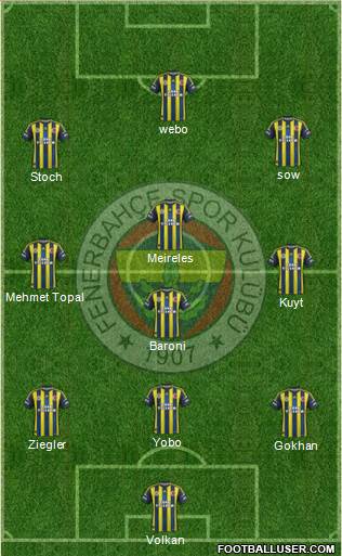 Fenerbahçe SK Formation 2013