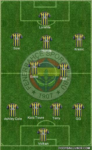 Fenerbahçe SK Formation 2013