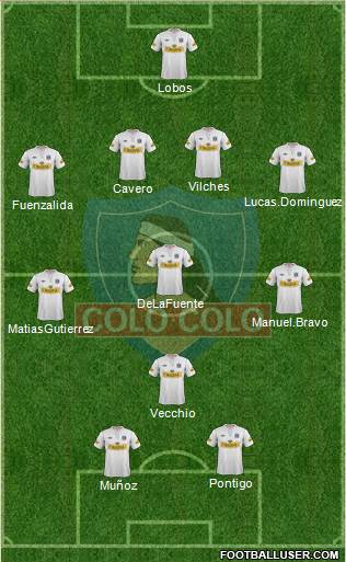 CSD Colo Colo Formation 2013