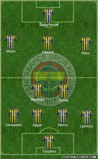 Fenerbahçe SK Formation 2013