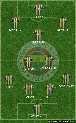 Fenerbahçe SK Formation 2013
