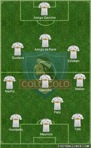 CSD Colo Colo Formation 2013