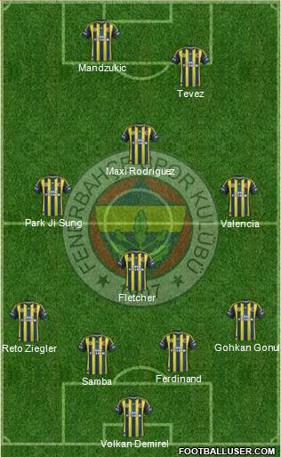 Fenerbahçe SK Formation 2013
