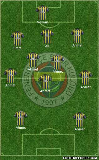 Fenerbahçe SK Formation 2013
