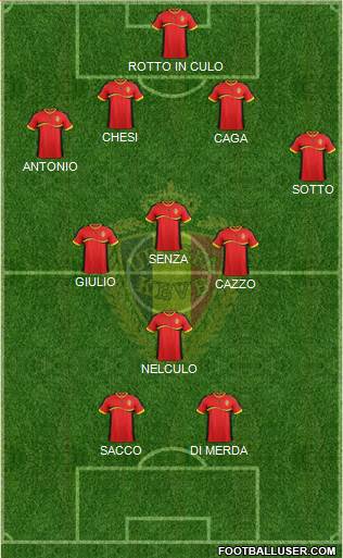 Belgium Formation 2013