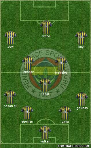 Fenerbahçe SK Formation 2013