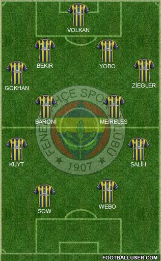 Fenerbahçe SK Formation 2013