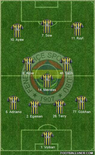 Fenerbahçe SK Formation 2013