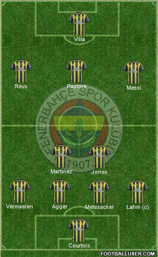 Fenerbahçe SK Formation 2013