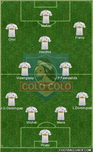 CSD Colo Colo Formation 2013