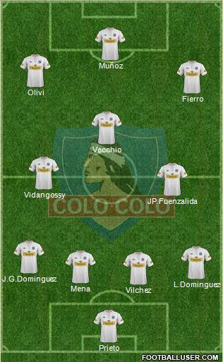 CSD Colo Colo Formation 2013