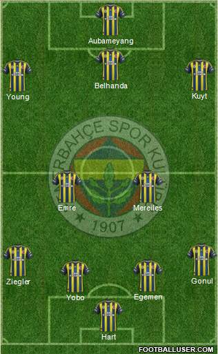 Fenerbahçe SK Formation 2013