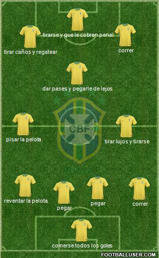 Brazil Formation 2013