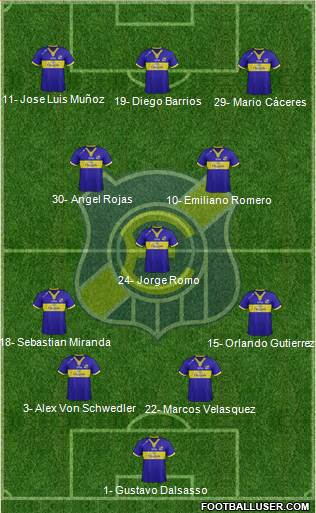 CD Everton de Viña del Mar S.A.D.P. Formation 2013