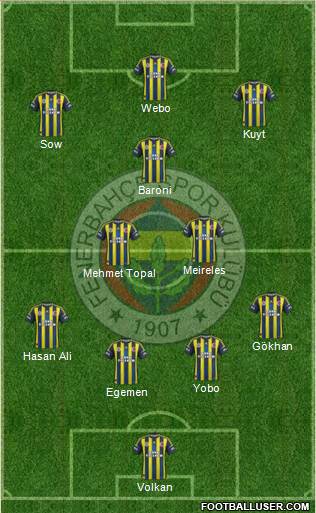 Fenerbahçe SK Formation 2013