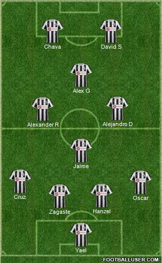 Newcastle United Formation 2013