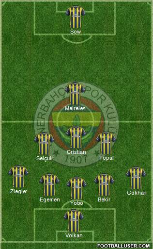 Fenerbahçe SK Formation 2013