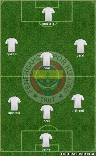 Fenerbahçe SK Formation 2013