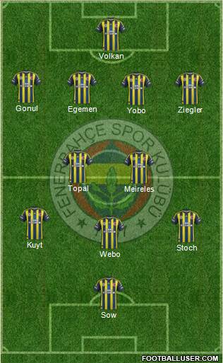 Fenerbahçe SK Formation 2013