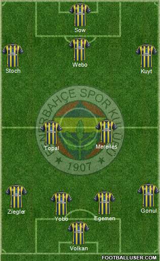 Fenerbahçe SK Formation 2013