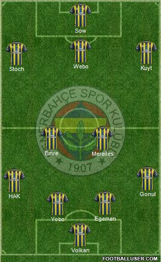 Fenerbahçe SK Formation 2013