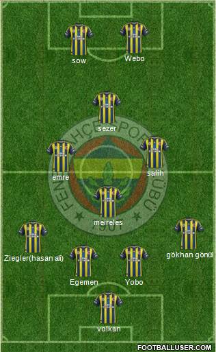 Fenerbahçe SK Formation 2013