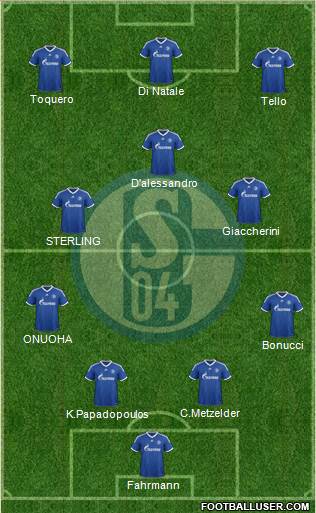 FC Schalke 04 Formation 2013