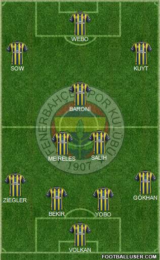 Fenerbahçe SK Formation 2013