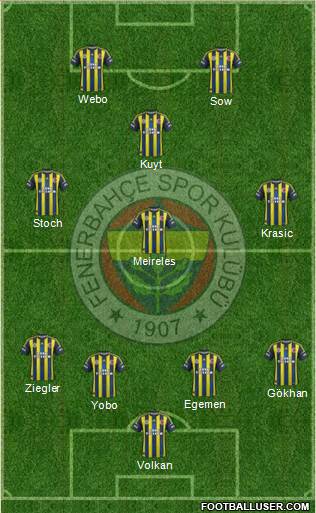 Fenerbahçe SK Formation 2013