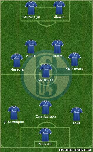 FC Schalke 04 Formation 2013