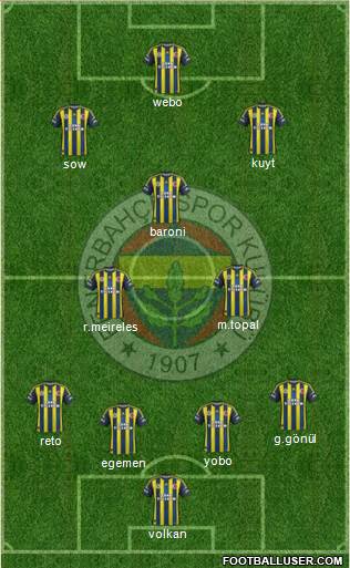 Fenerbahçe SK Formation 2013